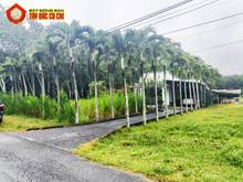 Hình ảnh Bán nhà vườn đường 762 - 2285m2 - 15x114 nở hậu 24m - 51m2 thổ cư -