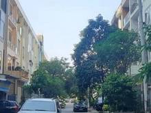 Hình ảnh Chính Chủ Bán Nhà HIẾM VIP KĐT VĂN KHÊ HÀ ĐÔNG 5m*16,6m 9.6 tỷ