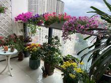 Hình ảnh Bán Trang Chủ MB66.COM / Đăng Ký Tặng 66K 128m2 chung cư Chelsea park đường Trung Kính, Cầu Giấy