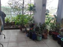 Hình ảnh Bán nhà chính chủ Nguyễn Văn Đậu, P.11, Q.BT. Dt 5x20m, 6L, giá 18 tỷ