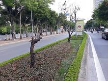 Hình ảnh Bán nhà lạc long quân 150m giá có 32.9 tỷ, chỉ 6m ra mặt phố