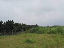 Hình ảnh 1 sào 2  Giá sập sàn ngay KDC, KCN và Sb Long Thành