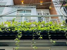 Hình ảnh Bán nhà MT nhựa 6m 1L + 2PN Ngay 20 Đường Mã Lò_Bình Tân, 4x9m, SHR