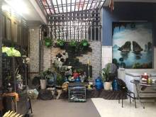 Hình ảnh Nhà Mt nhựa, kề bên Tô Ký, 10x18m, nhỉnh 50tr.m2