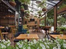 Hình ảnh Mặt phố Vạn Phúc- Ba Đình 100 m2 mặt tiền 20m. Giá thuê 65 Triệu/tháng