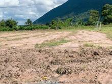 Hình ảnh Còn 10 lô đất sào cần bán diện tích 1000m2 view Núi Bà