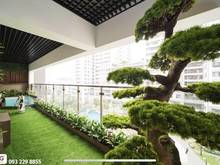 Hình ảnh Bán Mb6623 nạp rút nhanh chóng 205m tại Imperia 203 Nguyễn Huy Tưởng - Thanh Xuân