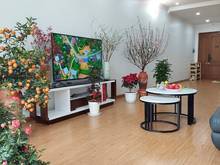 Hình ảnh Bán Trang Chủ MB66.COM / Đăng Ký Tặng 66K victoria văn phú 120m2, 3 ngủ, tầng giữa, có lốt ô tô,