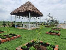 Hình ảnh Nhà vườn, ao cá Bình Chánh 1400m2, 3.5 tỷ