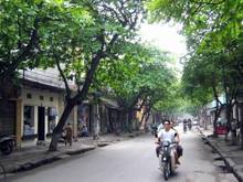 Hình ảnh Nhà mặt phố Đội Cấn, Ba Đình 105m2, Đẹp, Kinh doanh Đỉnh, Giá: 36,5 tỷ