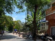 Hình ảnh Nhà mặt phố Phạm Hồng Thái, Ba Đình 70m2, Lô góc 3 thoáng, Giá: 23 tỷ