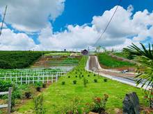 Hình ảnh Dream Garden - chốn an cư lý tưởng cho mọi nhà