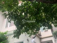 Hình ảnh Biệt Thự ngõ 603 Lạc Long Quân, Tây Hồ 218m2, Dòng tiền, Giá: 18,2 tỷ