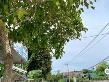 Hình ảnh BĐS Điện Bàn thu hút nhà Trang MB66.COM Chính Thức - MB 66 Uy Tín vì nhiều lợi thế tiềm năng vì sổ sẵn