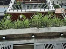 Hình ảnh Hẻm xe tải lê đức thọ gò vấp thông tứ tung, xe hơi ngủ trong nhà, nhà