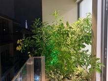 Hình ảnh Hàng mới!Tòa nhà văn phòng MT Nguyễn Đình Chiểu - Trương Định Q3 13x14