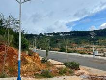 Hình ảnh Bán đất View Rừng thông Vạn Xuân 116m – 4 tỷ, Lạc Dương, Đà Lạt