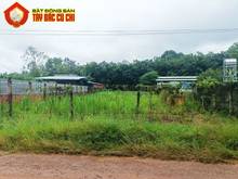 Hình ảnh Bán đất đường số 804 - 537m2 - 15x35 nở hậu 18m - xã an phú - củ chi