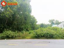 Hình ảnh Bán đất đường tỉnh lộ 15 - 923m2 - 16x56 - 300m2 thổ cư - xã an phú -