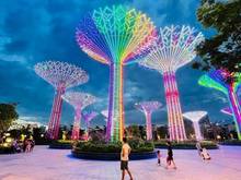 Hình ảnh Cần bán 2 Trang Chủ MB66.COM / Đăng Ký Tặng 66K VINHOMES GRAND PARK. View Hồ Bơi cực đẹp. Chỉ 1 tỷ