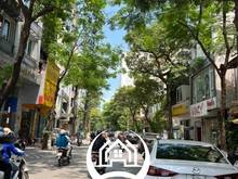 Hình ảnh Nhà phố Quán Thánh, Ba Đình 105m2, MT 6m, Kinh doanh Đỉnh, Giá: 46 tỷ