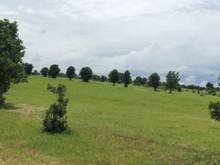 Hình ảnh Cần bán gấp lô đất 8526m2 Sông Lũy -Bắc Bình kế bên Khu du lịch Safari