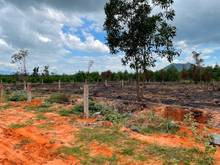 Hình ảnh Đất Hàm Đức Hàm Thuận Bắc gần Sân bay Phan Thiết Bình Thuận