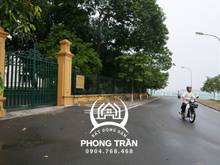 Hình ảnh Nhà mặt phố Nguyễn Đình Thi, Tây Hồ 220m2, MT 12m, Kinh doanh Sầm uất