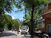 Hình ảnh Nhà mặt phố Phạm Hồng Thái, Ba Đình 210m2, 11 tầng, Kinh doanh Đỉnh