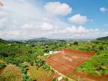 Hình ảnh Bán đất Nam Ban Lâm Hà gần 500m2 view đẹp - giá rẻ - hạ tầng chuẩn
