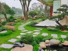 Hình ảnh 85 tỷ! Biệt thự Trần Quốc Thảo, Q3! Đoạn đẹp nhất cung đường DT 253m2