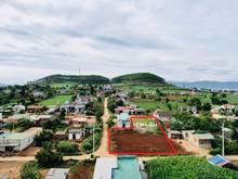 Hình ảnh Bán đất xã Tu Tra, Đơn Dương hơn 200m2 sổ hồng riêng, giá rẻ ưu đãi