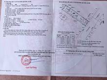 Hình ảnh Bán đất MT đường Trung Mỹ Tây 3, Quận 12