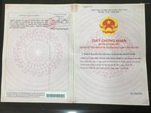 Hình ảnh Bán nhà cấp 4, MT Quốc Hương Thảo Điền, Q2. 8.8mx25,5m= 224,4m2