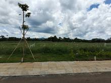 Hình ảnh Bạn Chỉ Cần Mua Đất Sang Tên Làm Sổ Đỏ Là Việc Của Chúng Bảo Lộc CITY