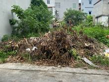 Hình ảnh OTO TRÁNH Tân Phong NỞ HẬU gần viện Chăn nuôi 46m2, mt 3.5m, 3.2 tỷ