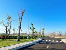 Hình ảnh Đất giá NGỘP  cần bán ra 7 lô MT ĐSố 6 SHR