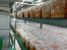 Hình ảnh Cho thuê nhà mặt tiền đường Cô Bắc, Phường 2, Quận Phú Nhuận.