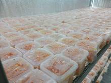 Hình ảnh Cho thuê nhà mặt tiền Lê Quang Định F14 Bình Thạnh