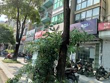 Hình ảnh Mặt phố Mai Hắc Đế, Hai Bà Trưng 121m2 , c4  mt4,5