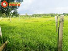Hình ảnh Bán đất khu dân cư hẻm số 506 - 1000m2 - 10x100 - xã an phú - củ chi