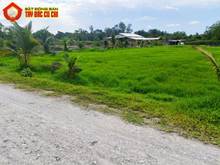 Hình ảnh Bán đất đường 799 - 7119m2 - 74x87 nở hậu 116m - xã an phú - củ chi