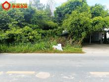 Hình ảnh Bán đất đường Tỉnh Lộ 15 - 493m2 - 5x96 - xã An Phú - Củ Chi