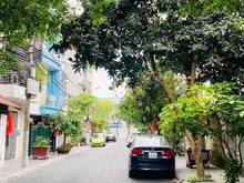 Hình ảnh Chính chủ bán nhà Láng Hạ 120m, mặt tiền5.2m, ô tô, KD, Trang MB66.COM Chính Thức - MB 66 Uy Tín, 17.5tỷ