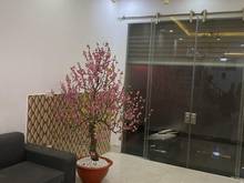 Hình ảnh Nhà Văn Quán 43m2 x 4 tầng 4 ngủ,ô tô tránh vài bước chân,nhỉnh 5 tỷ