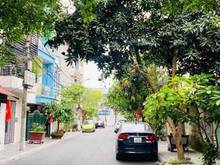 Hình ảnh Chính chủ bán nhà láng hạ 120m2, mặt tiền 5.2m, ô tô, kinh doanh, đầu