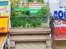 Hình ảnh Nhà Mặt Tiền Phạm Văn Hai gần Ngã Tư Lê Văn Sỹ - 3 Lầu (4x25m) – 23 Tỷ
