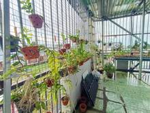 Hình ảnh Nhà đẹp giá Trang MB66.COM Chính Thức - MB 66 Uy Tín Tân Chánh Hiệp 10, 6.7x11, gần Nguyễn Ảnh Thủ 4tỷ