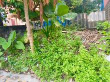 Hình ảnh BÁN ĐẤT Hùng Vương, Hồng Bàng, gần UBND, ôtô vào đất, 1,86 tỷ, 84,8m2