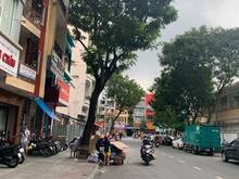 Hình ảnh Cho thuê gấp nhà mặt tiền Lê Thị Hồng Gấm,P.Cầu Ông Lãnh,Q1